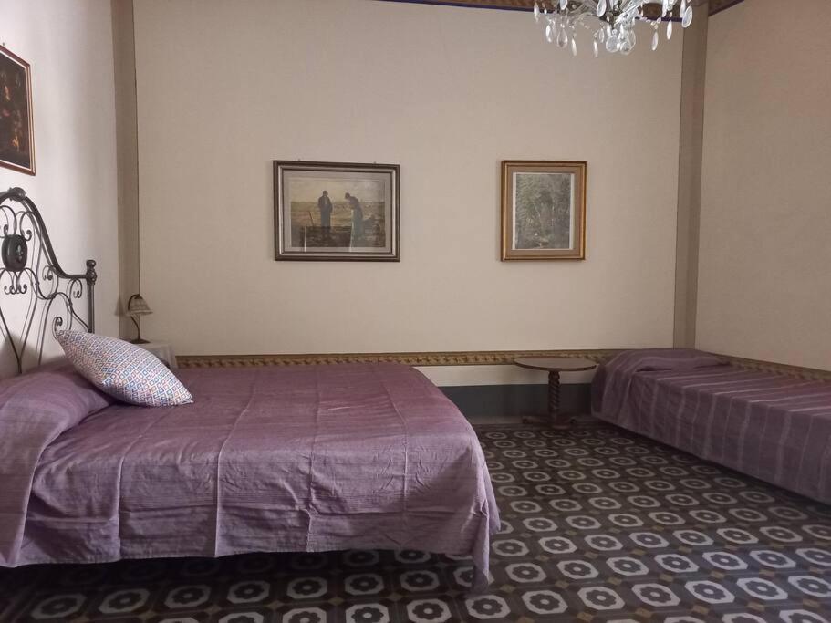 Villa La Casa Maestri A Cetona Extérieur photo